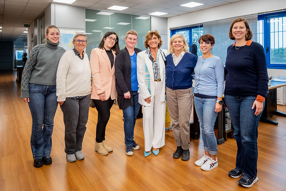 Servizi Lamebo per lame a spaccare - Lamebo - Lame a spaccare Supporto tecnico-commerciale per lame a spaccare